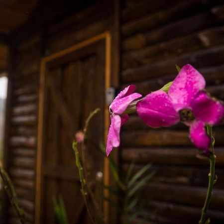 Finca Las Huellas: Cabana Acogedora En La Montana Villa Estrella Exteriör bild