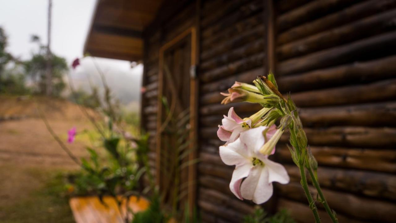 Finca Las Huellas: Cabana Acogedora En La Montana Villa Estrella Exteriör bild